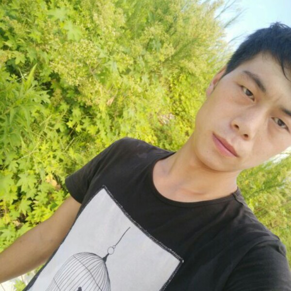 感性羽毛的照片