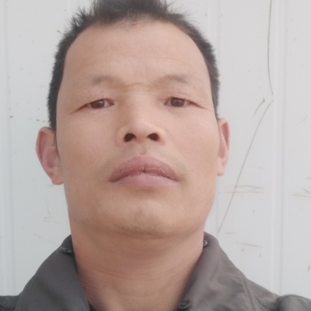 畅快回首小鸽子的照片