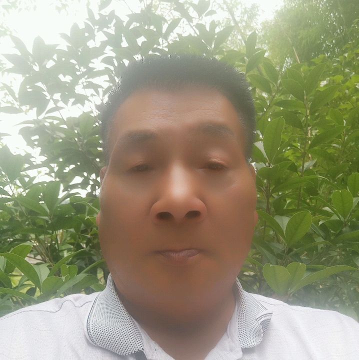 李振海真心交友的照片