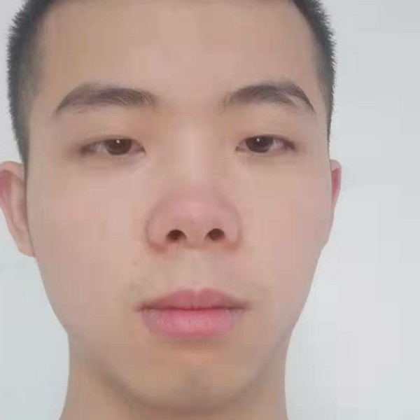 热心向康乃馨的照片