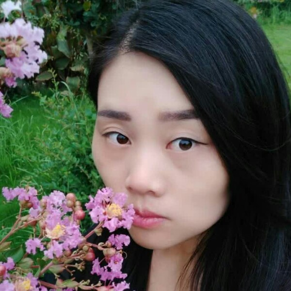 蝴蝶。寻找刺激的照片