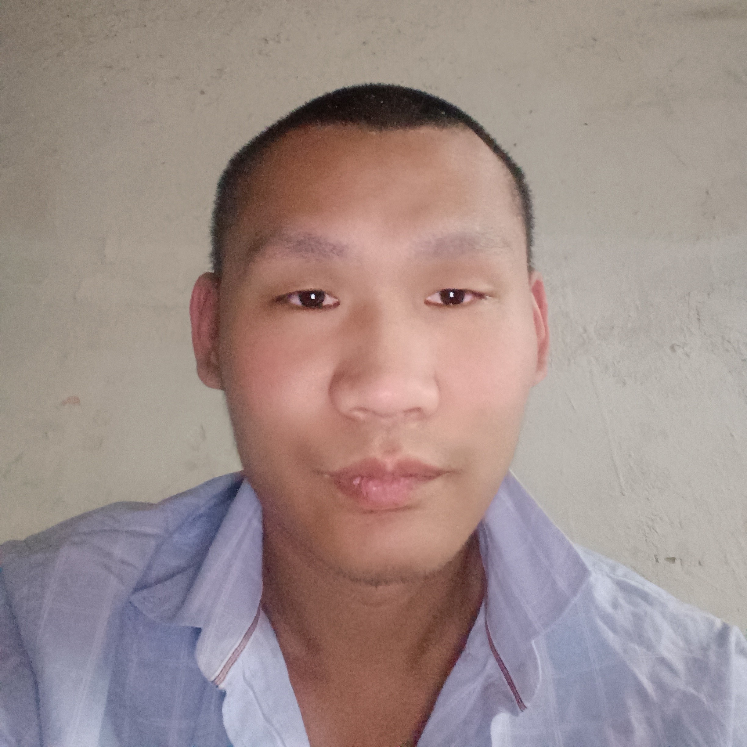 小懒虫踢整齐的照片