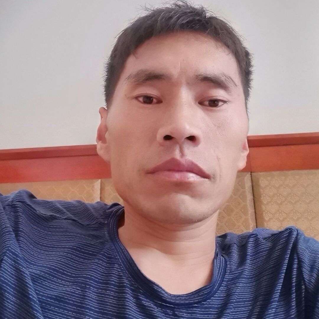 老实有大树的照片