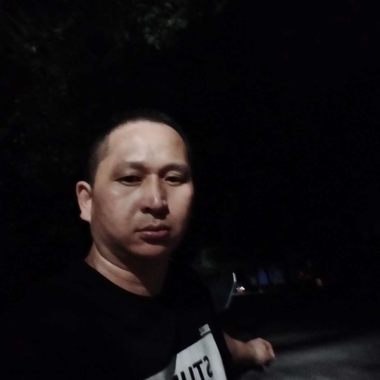 一叶知秋②的照片