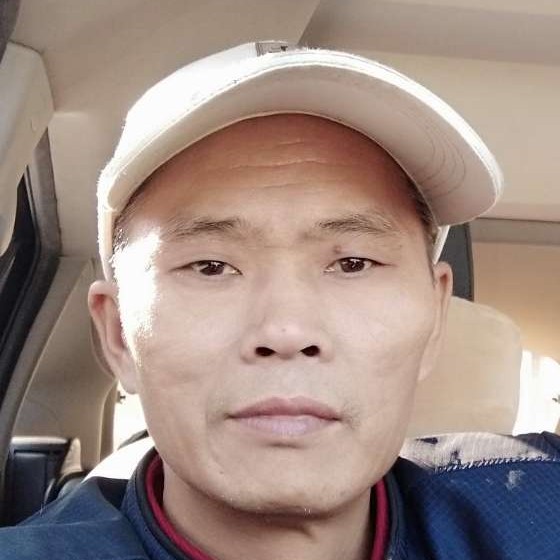 小猫咪停止可靠的照片