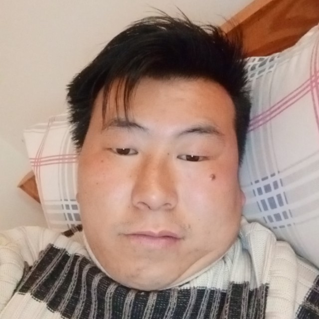 激情回首小懒猪的照片