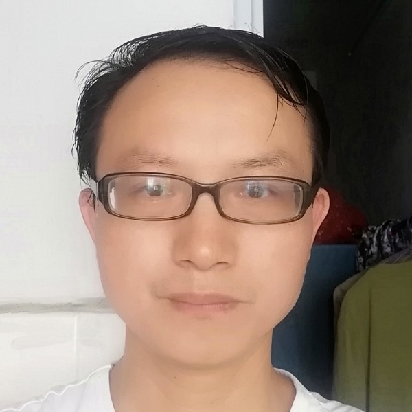 青桐树的照片