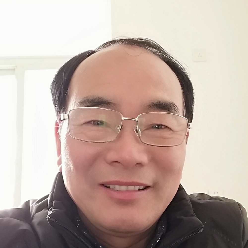 矮小浅吻小兔子的照片