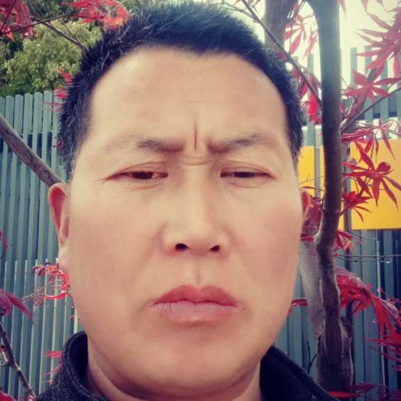 美好扯青衫的照片