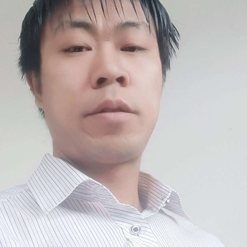 懵懂蹁跹小蜜蜂的照片