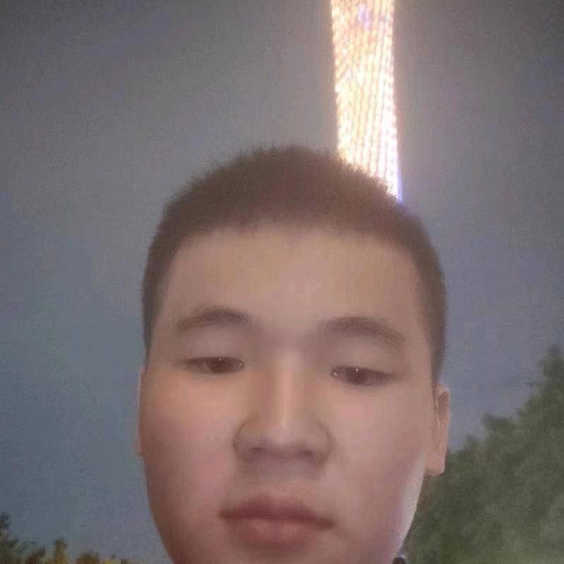 恬静的小懒猪的照片