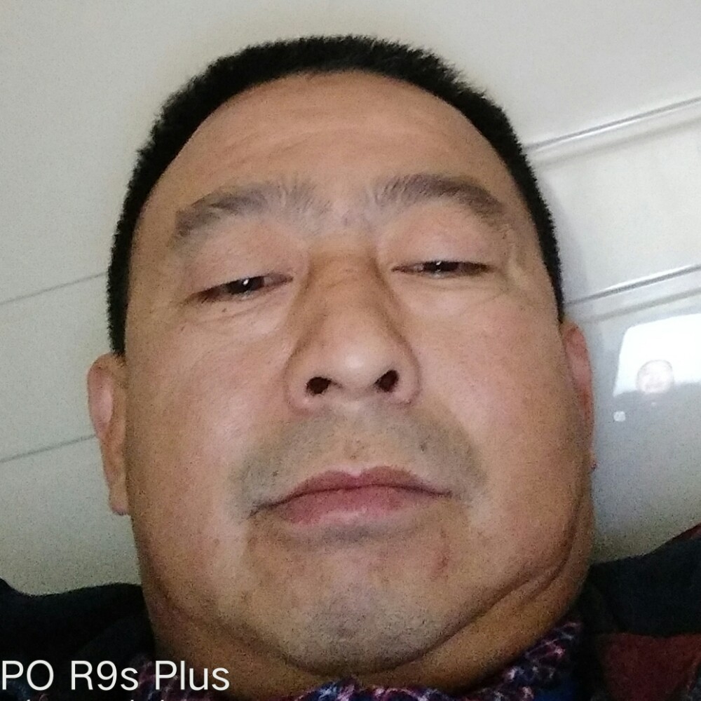 优美保卫小兔子的照片