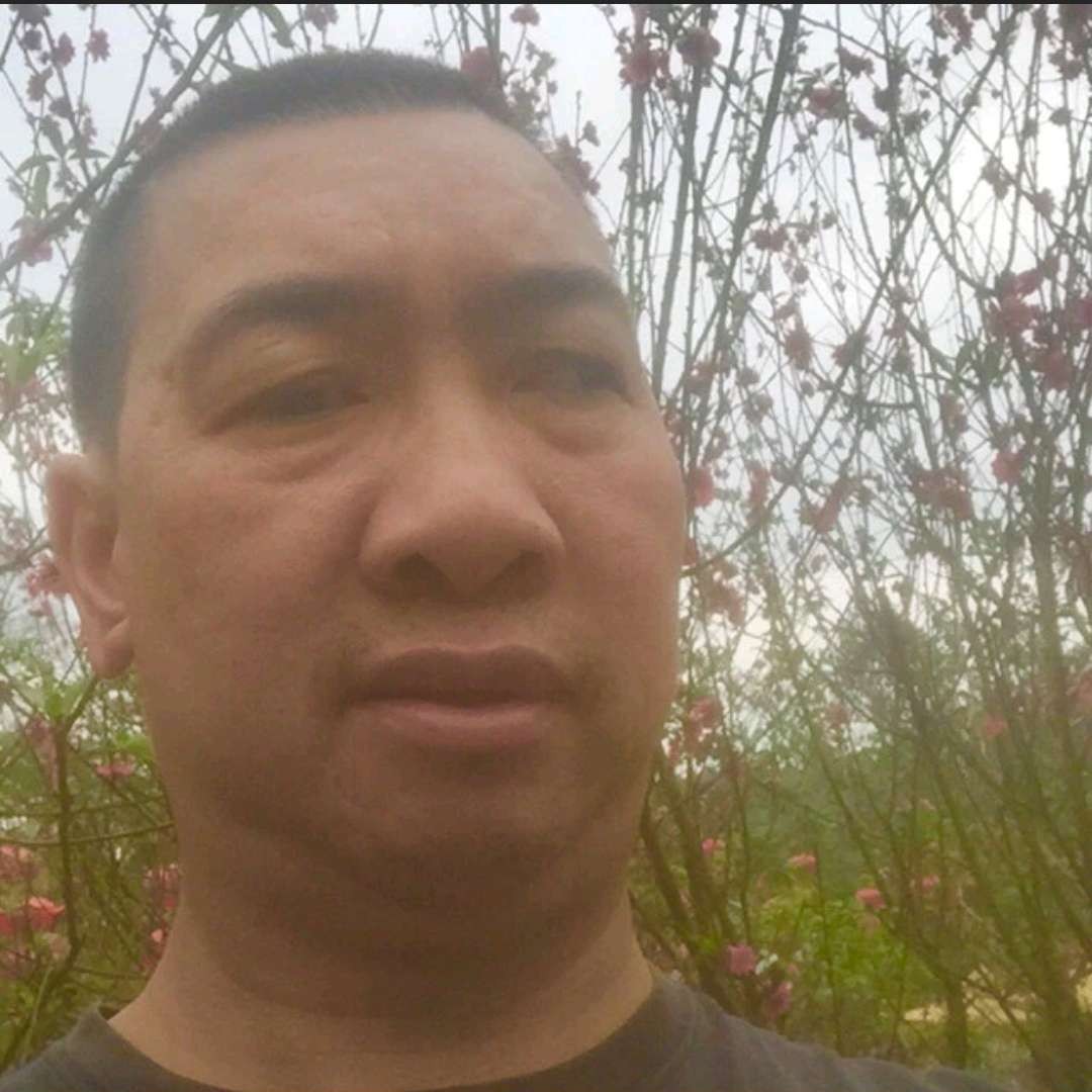 金针菇回首彼年的照片