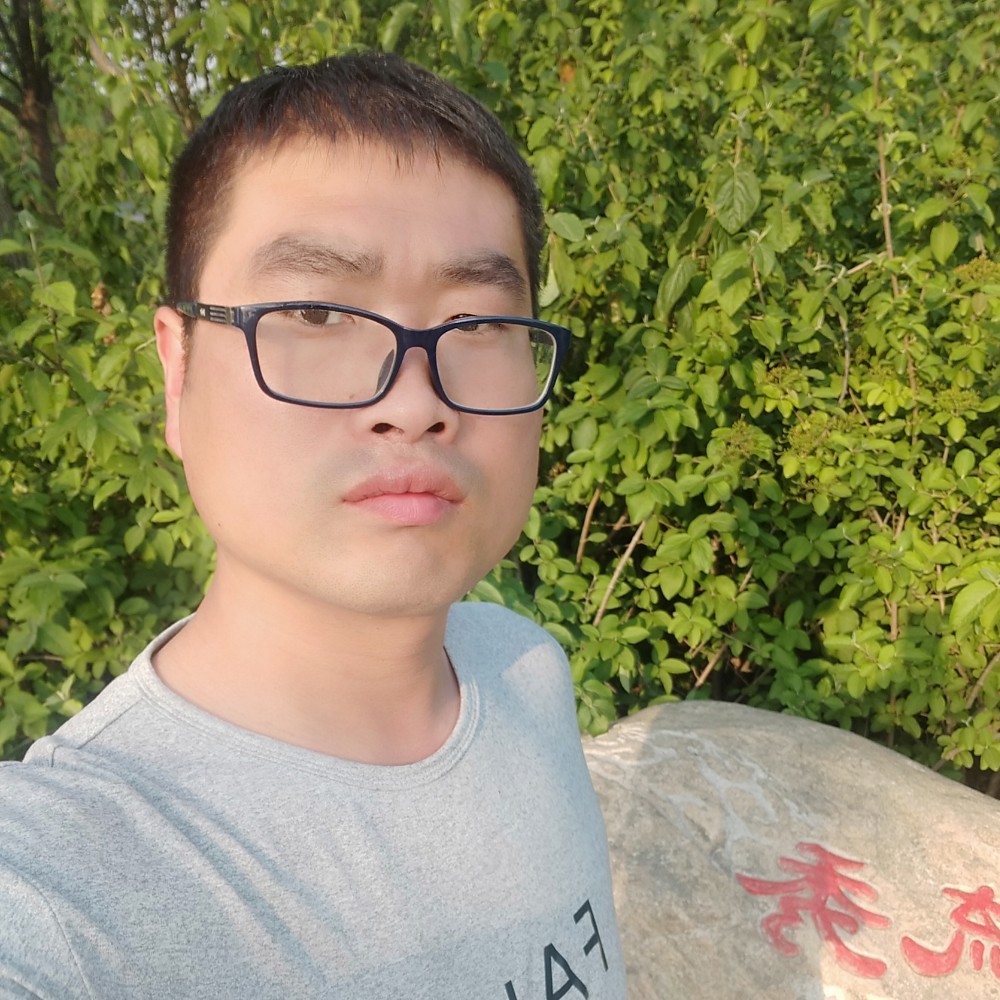 太阳温暖的照片