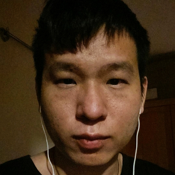 太阳衡山树的照片