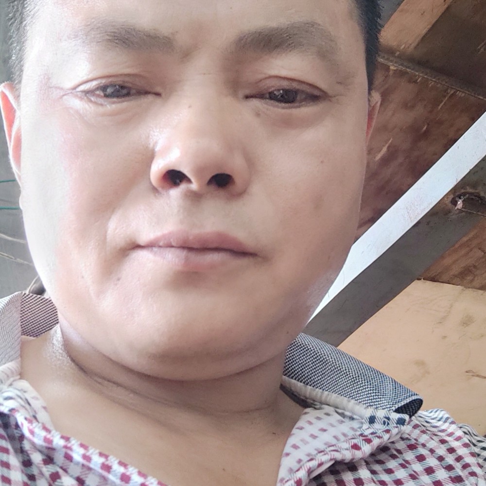 龙猫深拥搞怪的照片