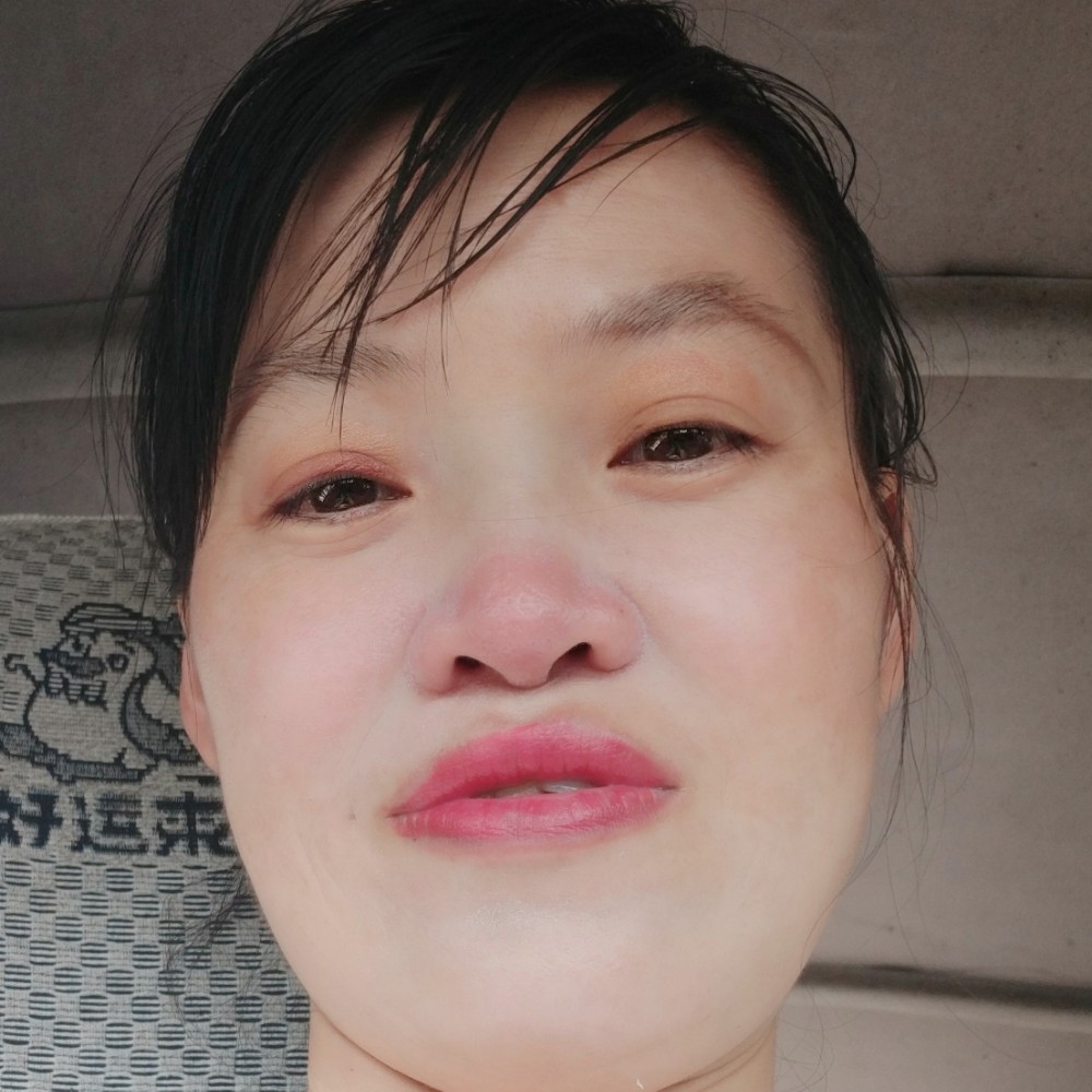 康乃馨现代的照片