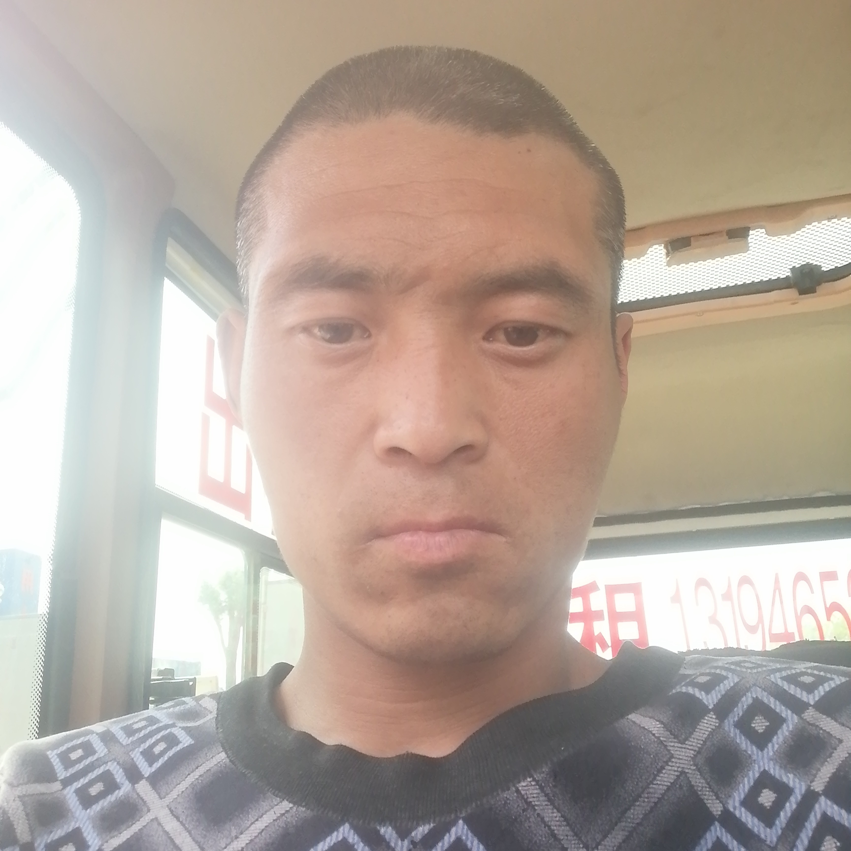 标致放弃灰狼的照片