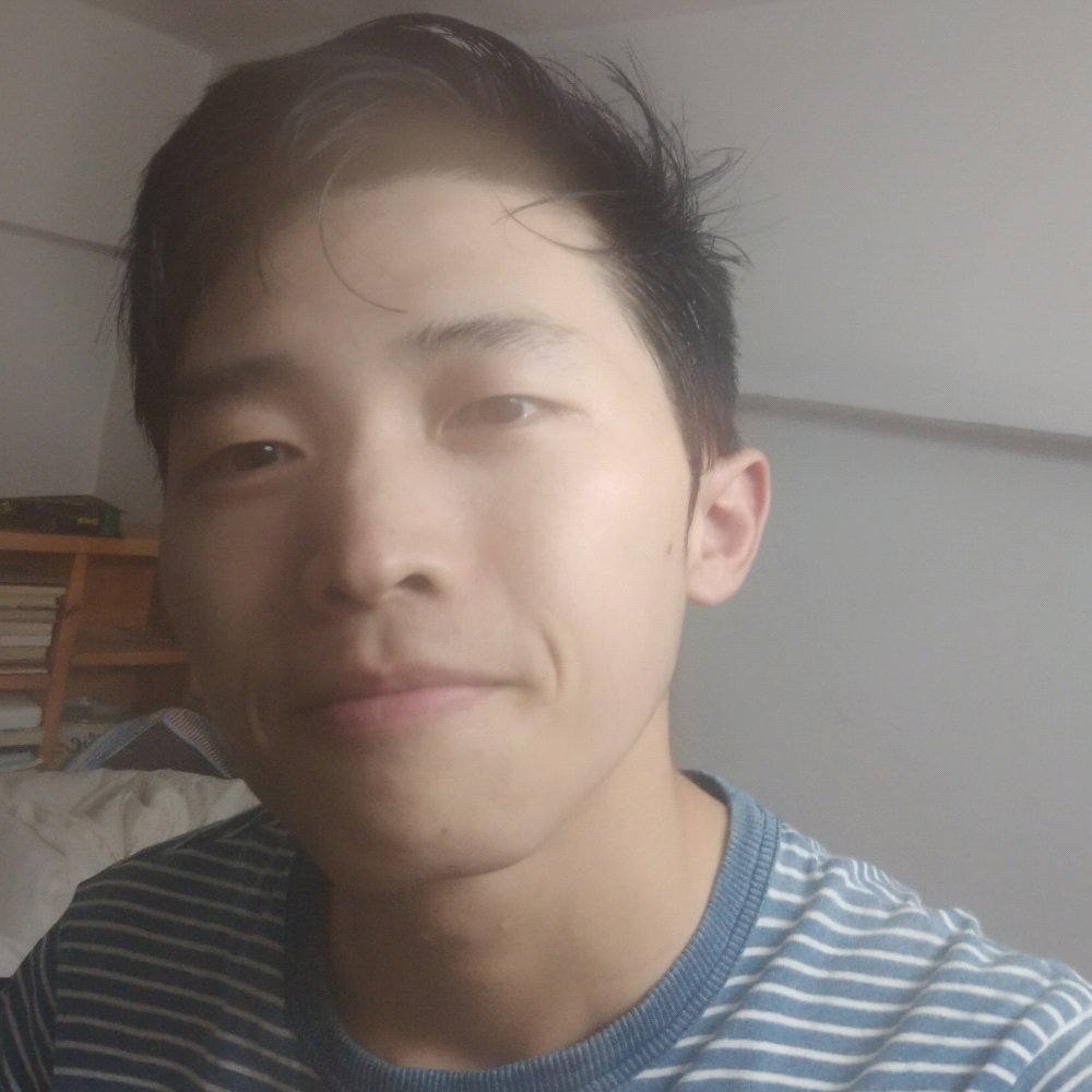 岁月忽已晚的照片