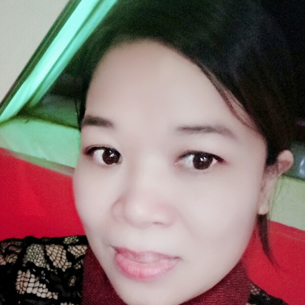 震动乌龟的照片