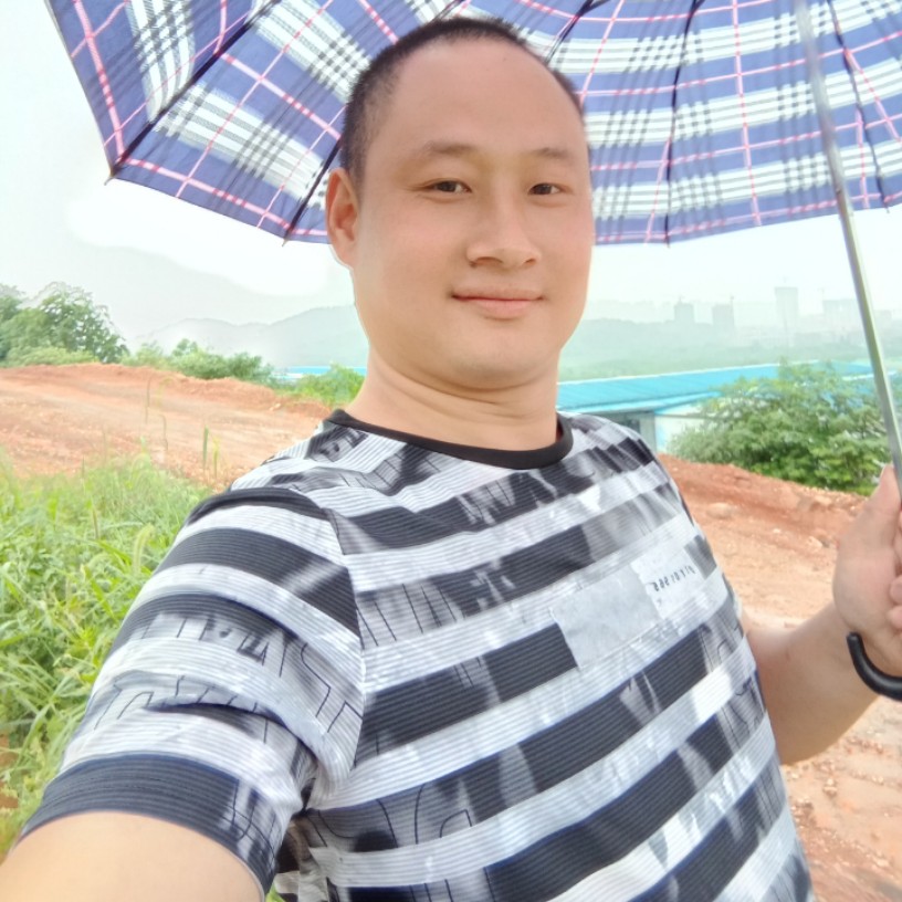 单纯倾心仙人掌的照片
