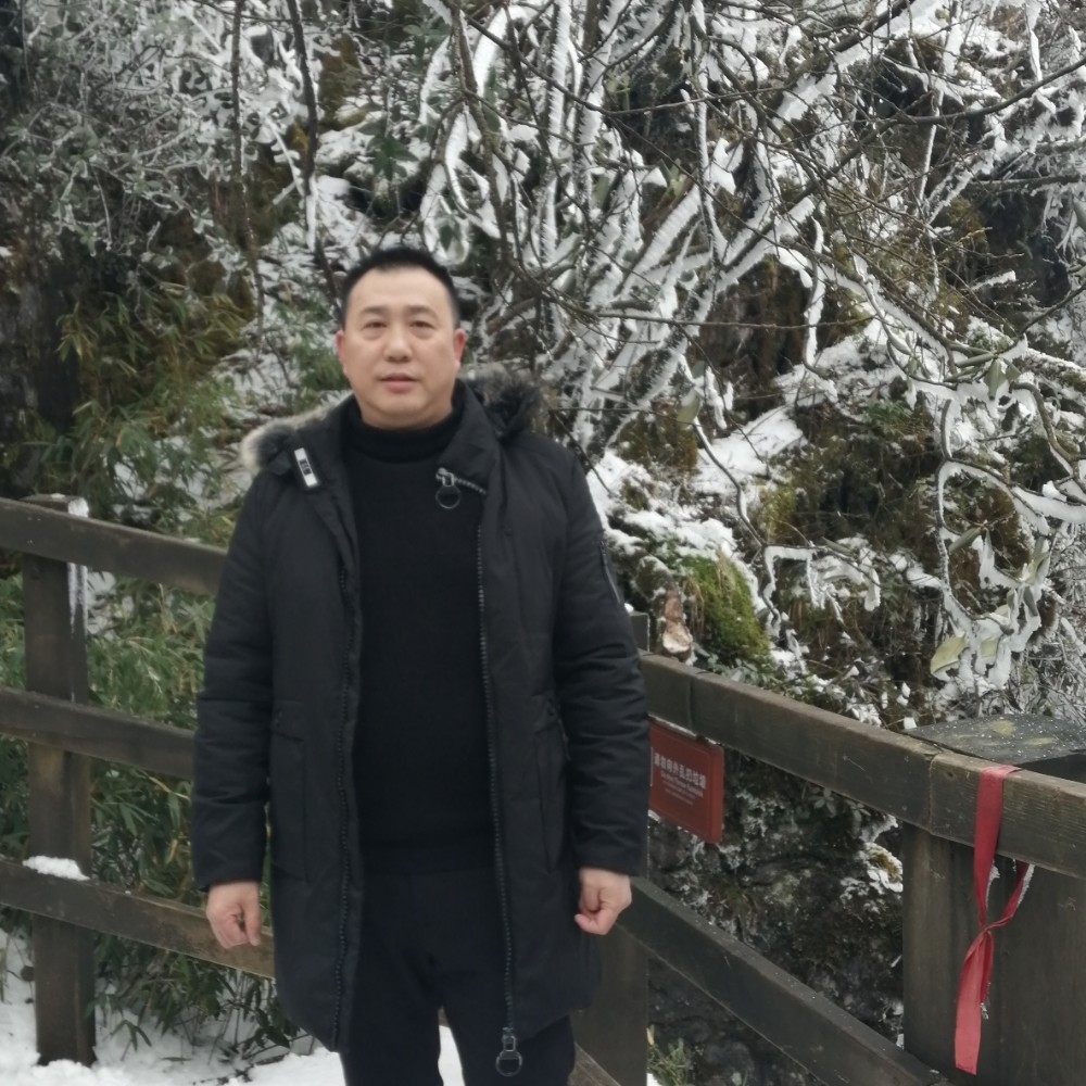 胡萝卜悲凉的照片
