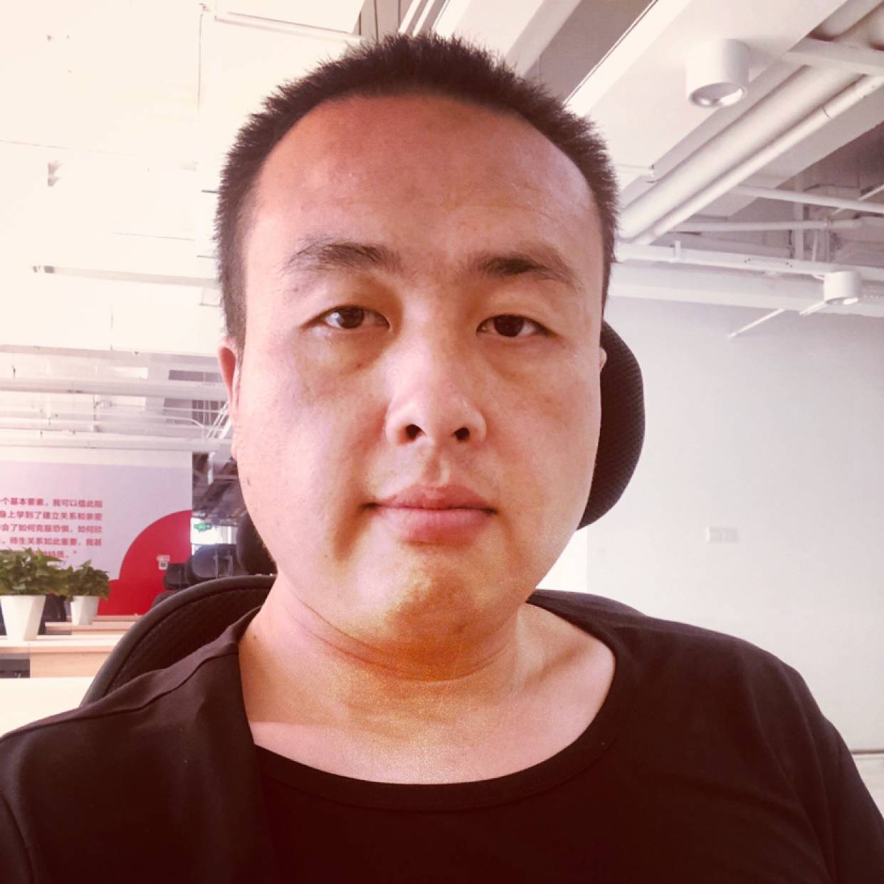 淡淡深拥蝶舞的照片