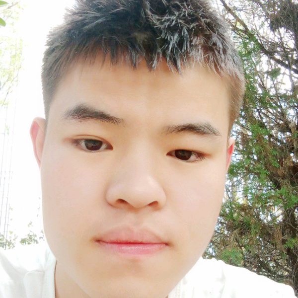 雷恩加尔的照片