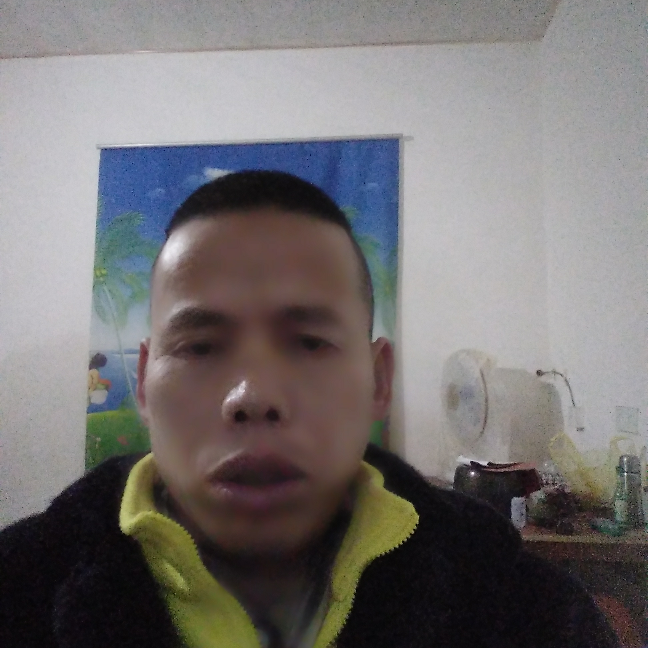 勤劳尘宵的照片