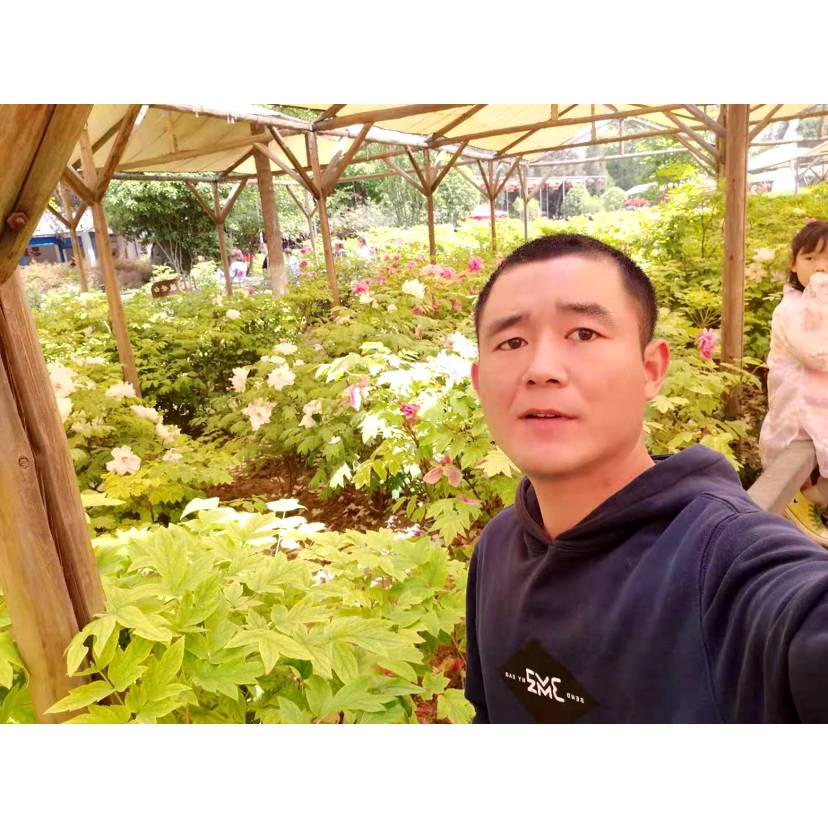 浮波和无奈的照片