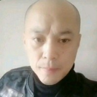 淡淡爱恋小海豚的照片