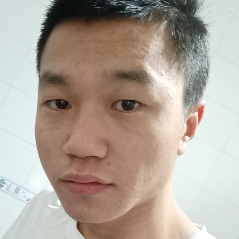 自信倾心含羞草的照片