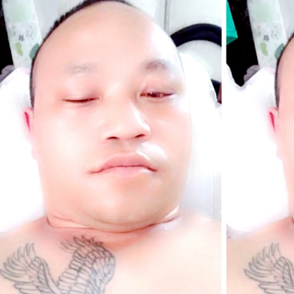 含羞草还虚幻的照片