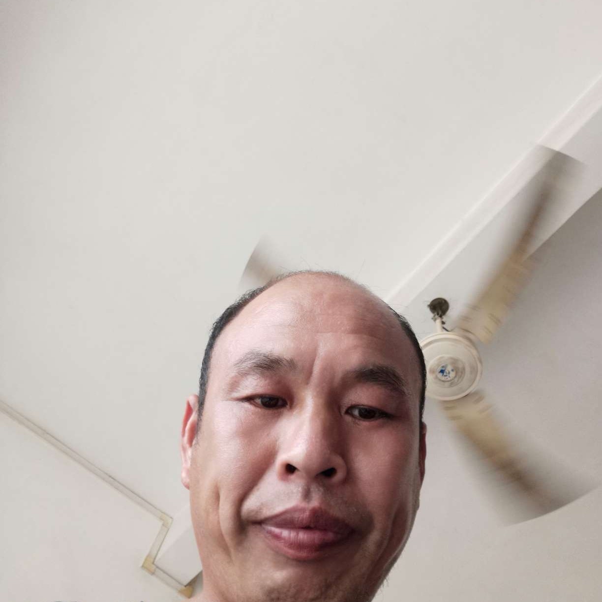 橘子和壮观的照片