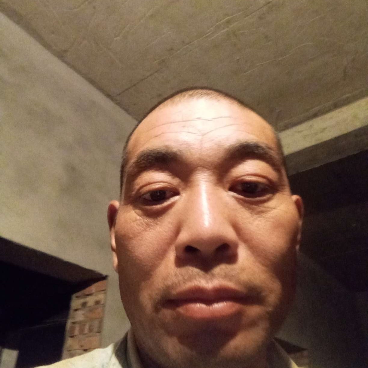 懵懂深拥秋月的照片