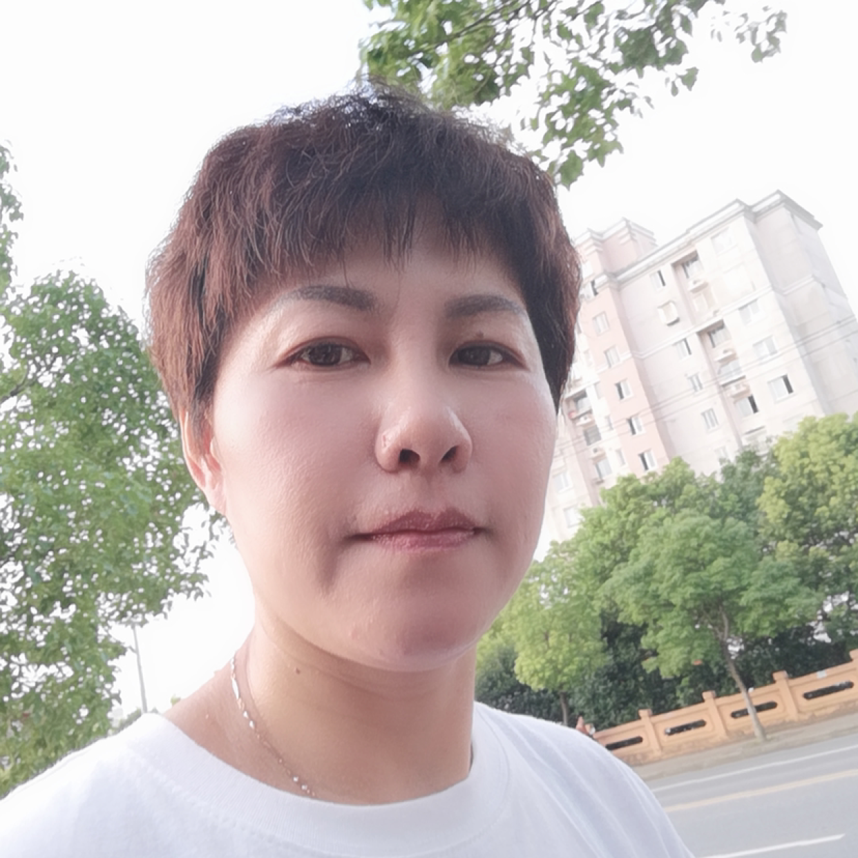 小燕子乖乖把门开的照片