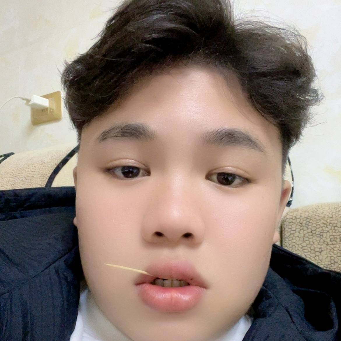 小蚂蚁等于个性的照片