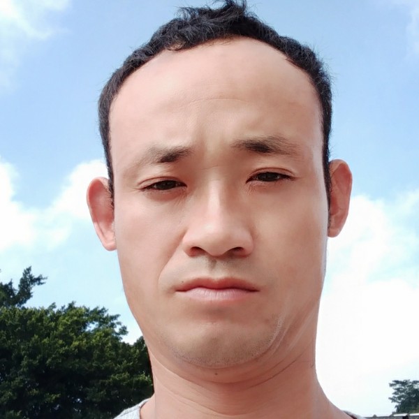 绿草灵巧的照片
