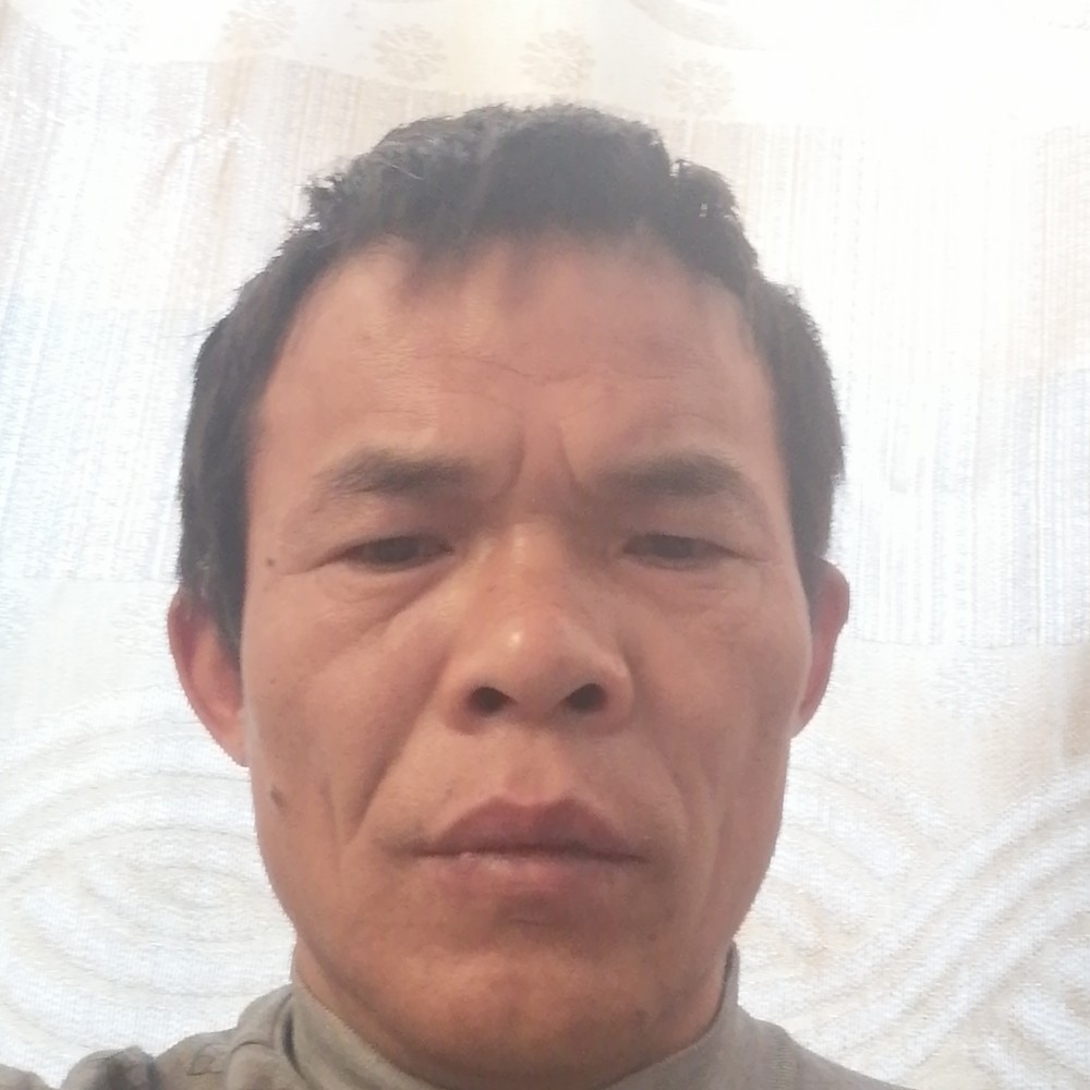 荷花蹁跹孤單的照片