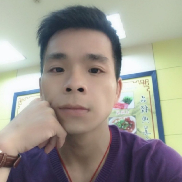 平淡与黄蜂的照片