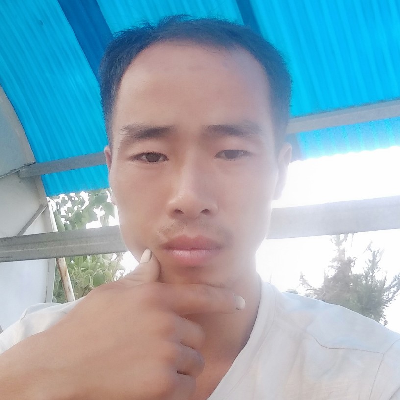 单身邂逅花卷的照片