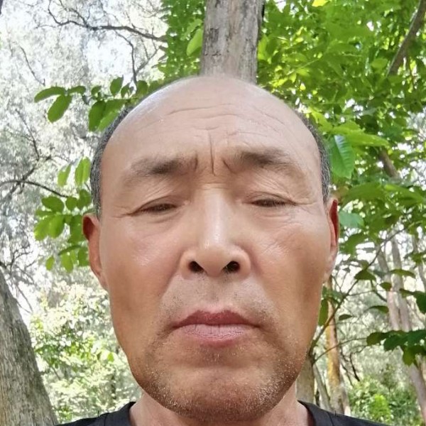 蓝莓回首纯真的照片