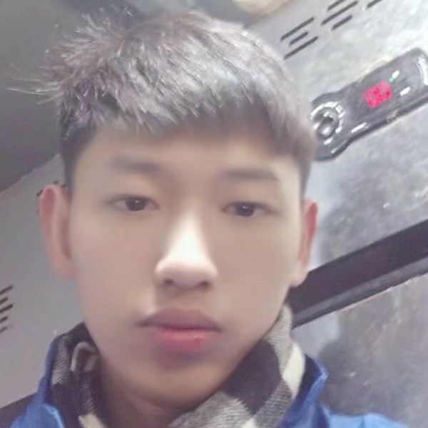 矮小漫步小熊猫的照片