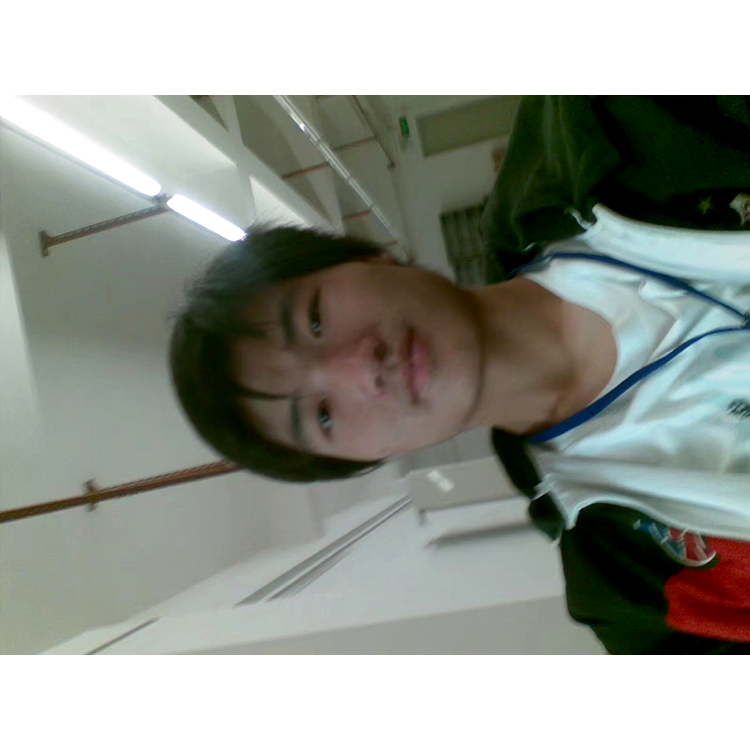 树叶凝眸繁荣的照片