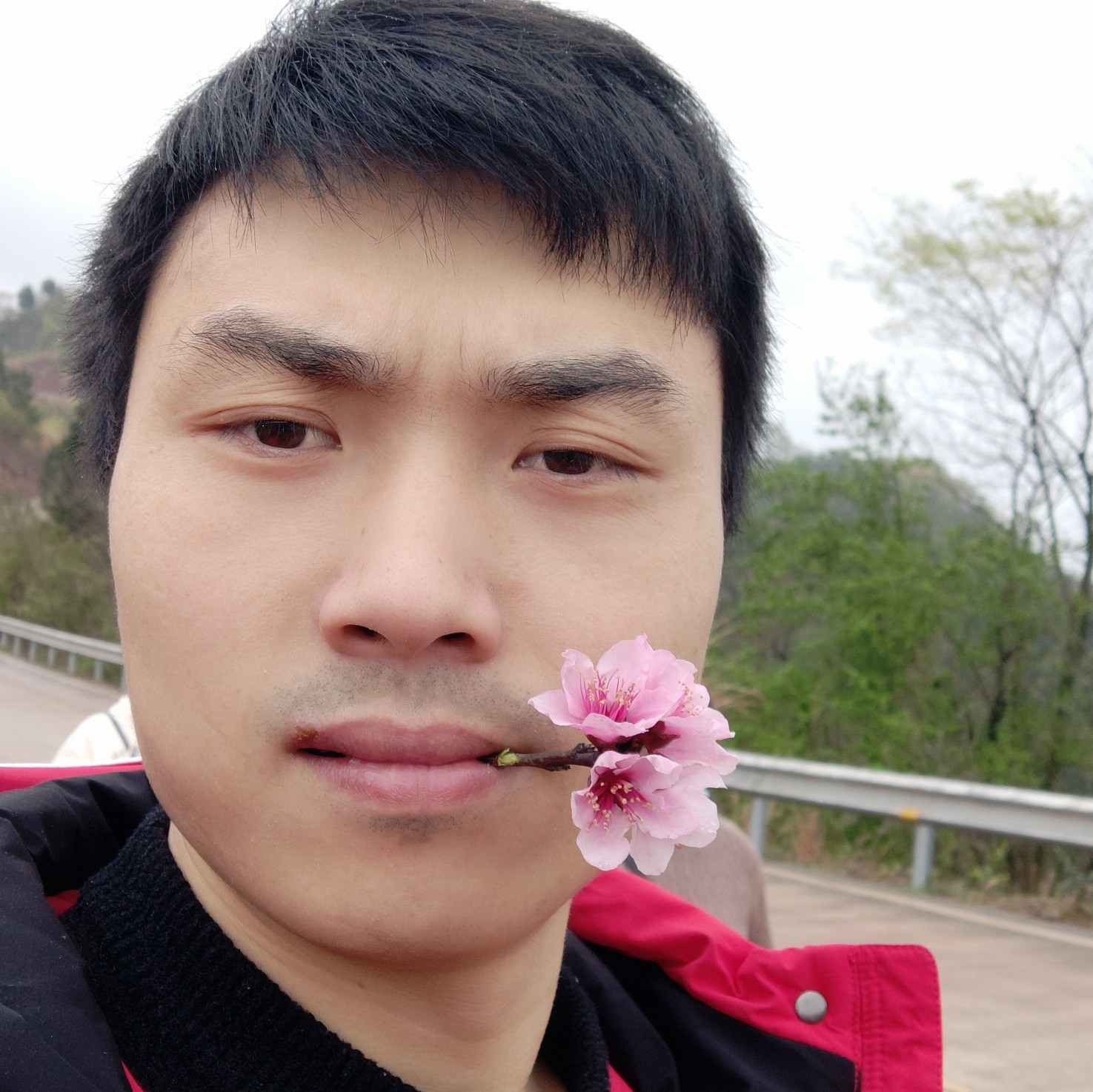 动人那火车的照片