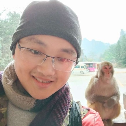 白猫迎不解的的照片