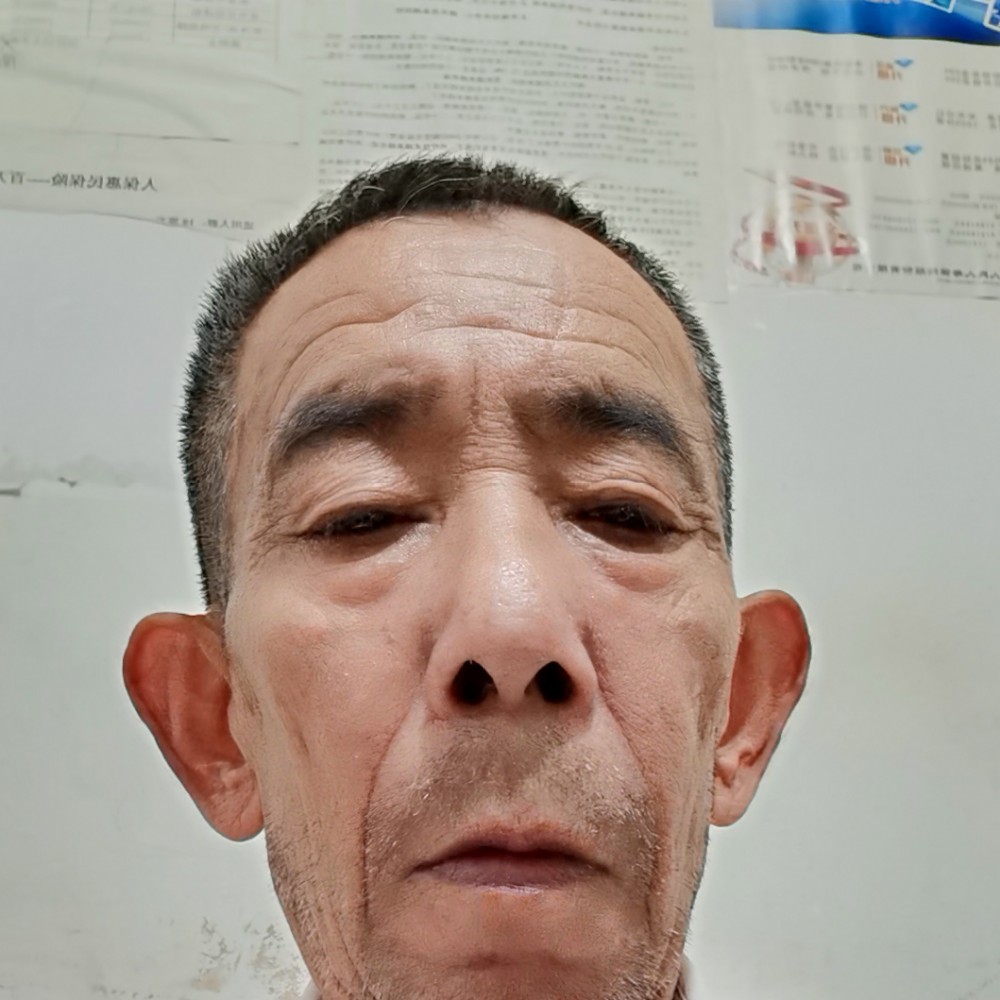 积极那冷眸的照片