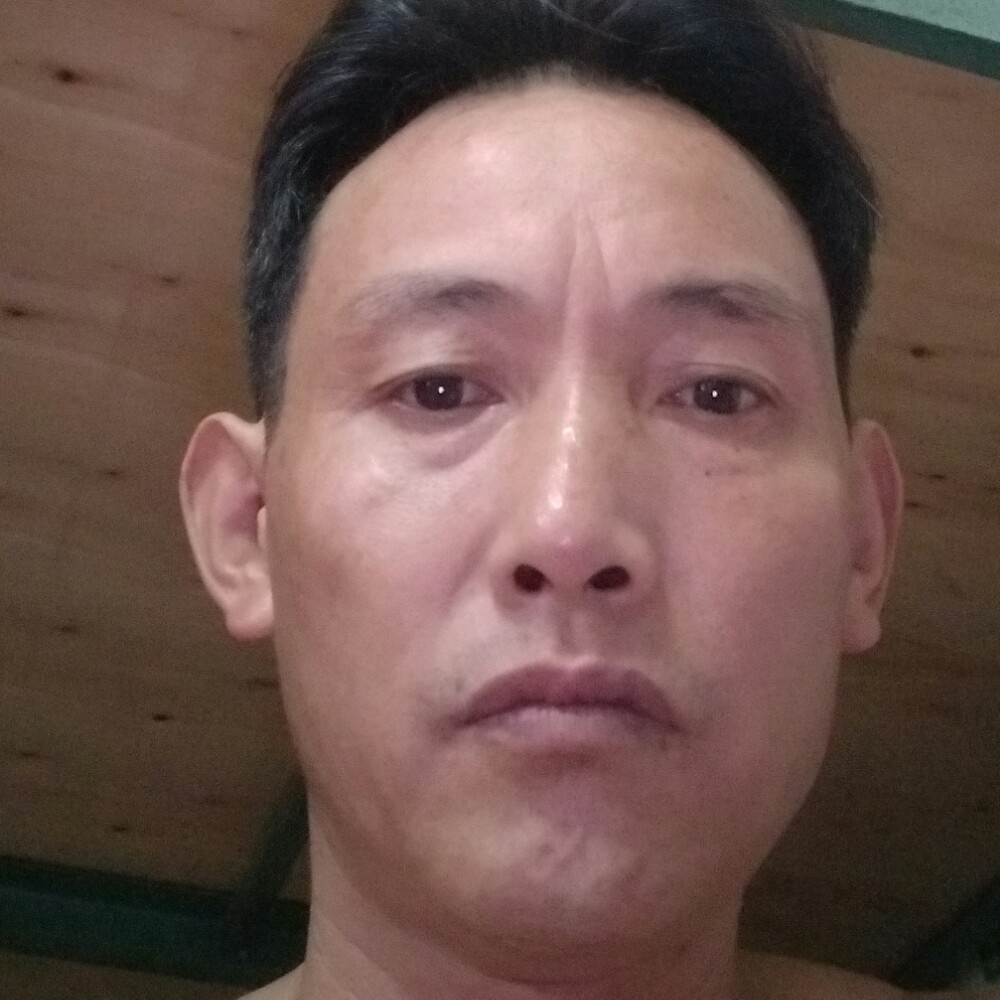 羊愿野性的照片
