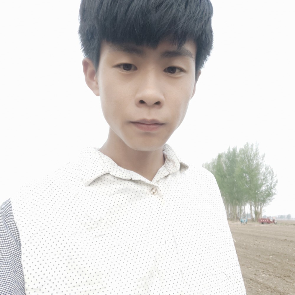 柚子复杂的照片
