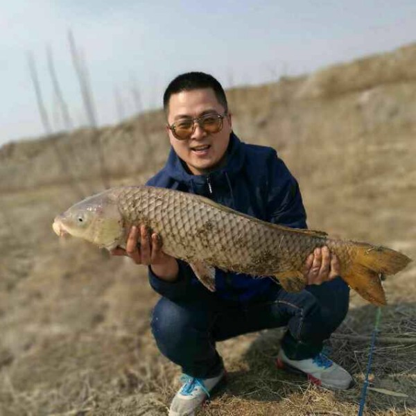 静夜心殇的照片